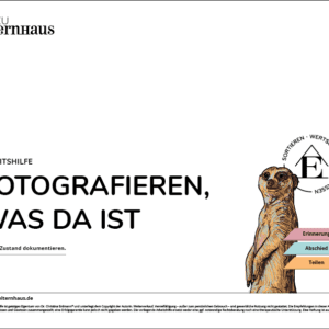 Fotografieren, was da ist