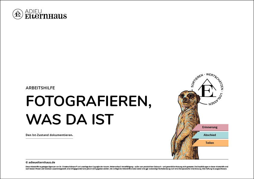 Fotografieren, was da ist