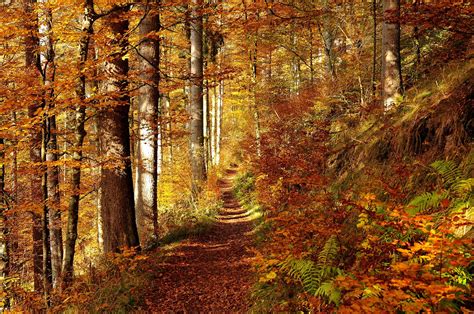 Von Abschied und Loslassen: Der Oktober im Elternhaus