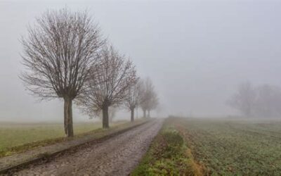 Der November im Elternhaus: Rückzug zu den Wurzeln